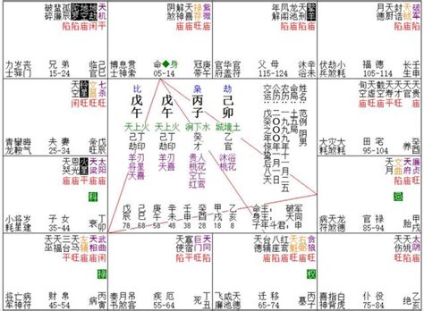 紫微12宮|十二宮